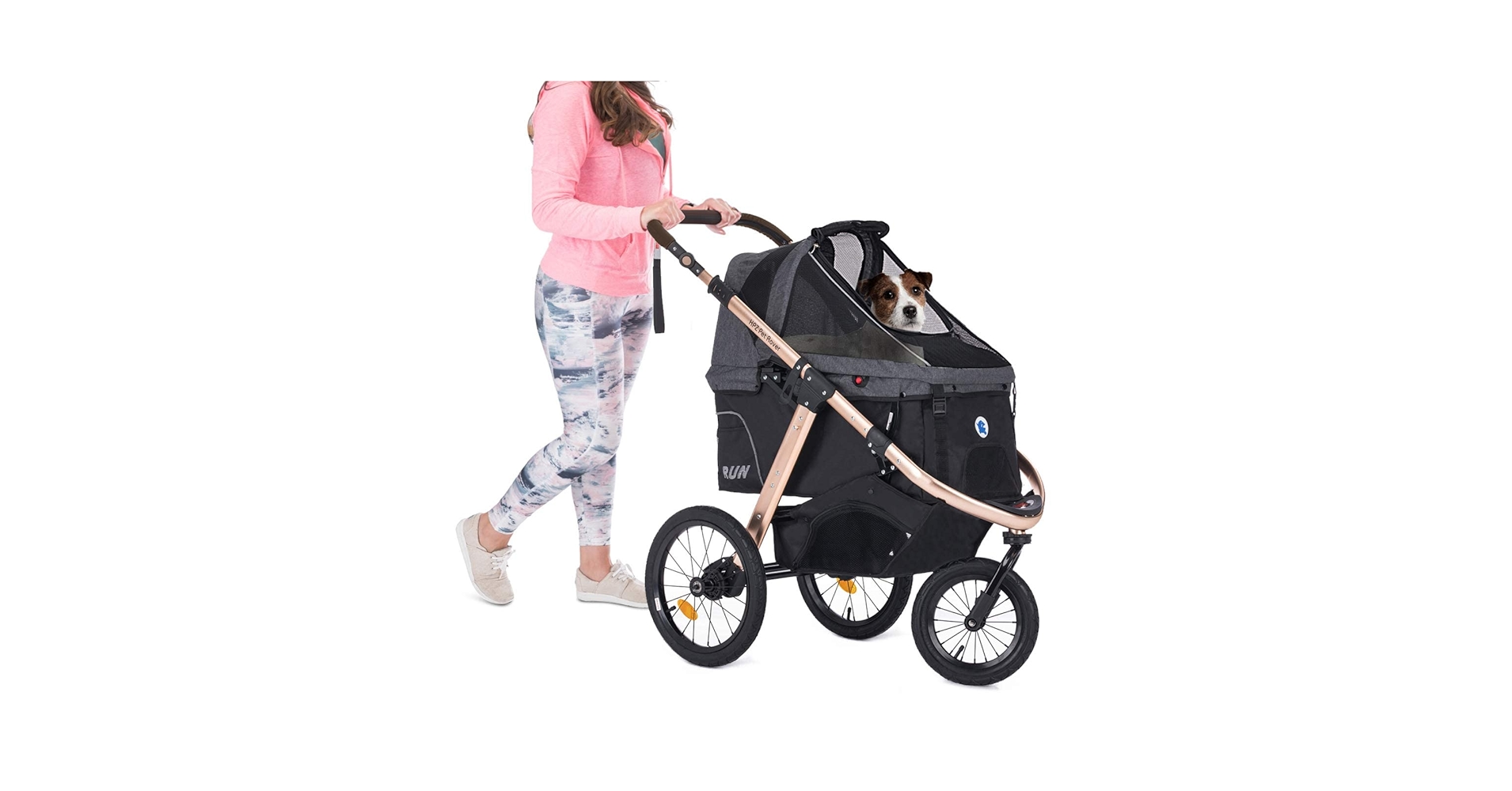 Amazon.com: HPZ Pet Rover Run Performance Jogging Sports